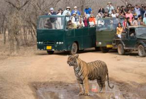 Ranthambore Travel Zones Guide